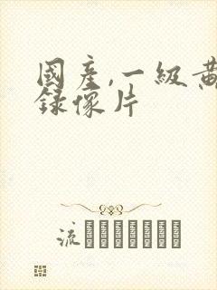 国产,一级黄色录像片