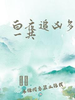 白夜追凶多少集一共