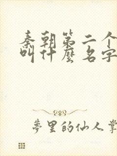 秦朝第二个皇上叫什么名字