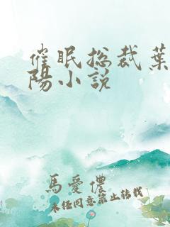 催眠总裁叶宸欧阳小说
