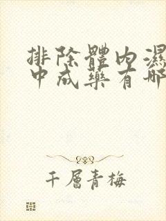 排除体内湿气的中成药有哪些