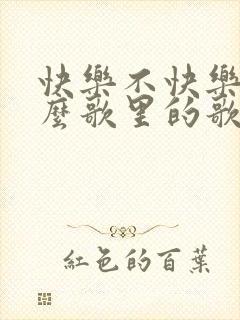 快乐不快乐是什么歌里的歌词