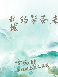 我的笨蛋老婆失忆