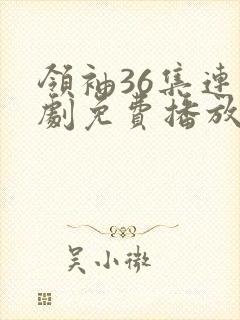 领袖36集连续剧免费播放