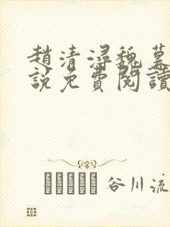 赵清浔魏暮聿小说免费阅读最新章节