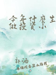 今年什么生意好做投资小
