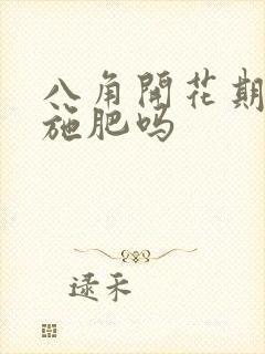八角开花期可以施肥吗