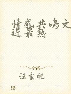 情感共鸣文案最近最热