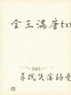 金玉满唐txt