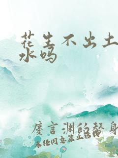 花生不出土能浇水吗