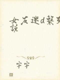 女友迷d系列小说
