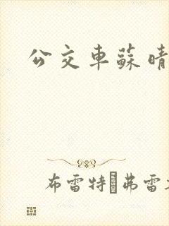 公交车苏晴小说