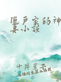 猎户家的神医辣妻小说