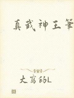 真武神王笔趣阁