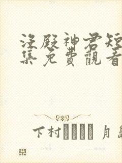 没殿神君短剧全集免费观看