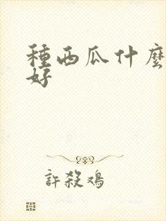 种西瓜什么肥料好