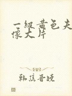 一级黄色夫妻录像大片
