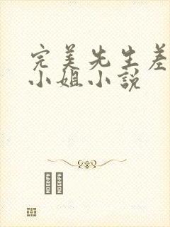 完美先生差不多小姐小说
