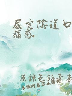 尿完阴道口有刺痛感