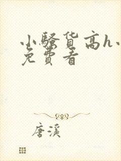 小骚货高h小说免费看