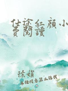 仕途红颜小说免费阅读
