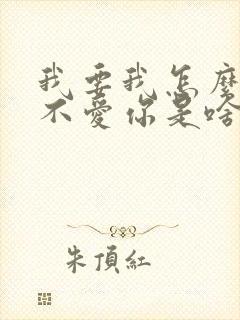 我要我怎么说我不爱你是啥歌
