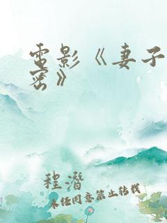电影《妻子的秘密》 电影《妻子的秘密》