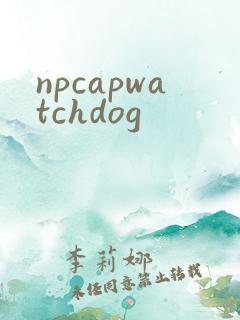 npcapwatchdog