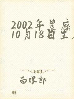 2002年农历10月18日生辰八字