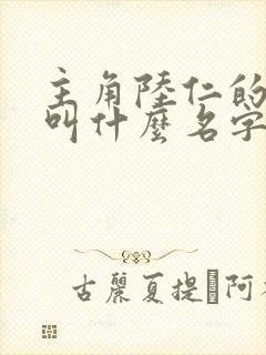 主角陆仁的小说叫什么名字