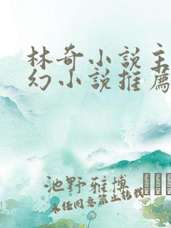 林奇小说主角玄幻小说推荐
