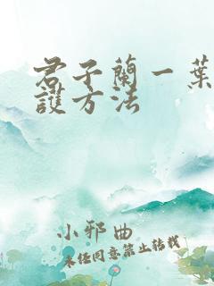 君子兰一叶苗养护方法