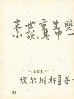 末世重生双男主小说,其中一个男主是丧尸王
