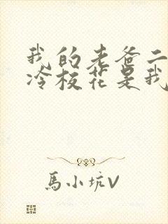 我的老爸二婚高冷校花是我妹