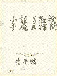 小说《欢迎进入梦魇直播间桑沃》