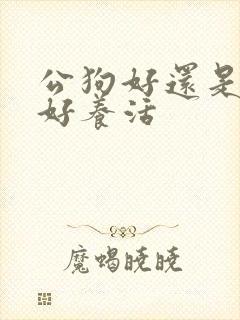 公狗好还是母狗好养活