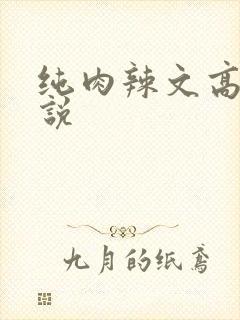 纯肉辣文高h小说