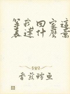 等我回家这首歌表达什么意思