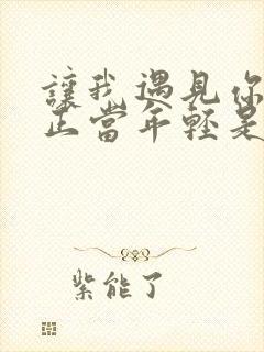 让我遇见你而你正当年轻是什么歌 让我遇见你而你正当年轻是什么歌