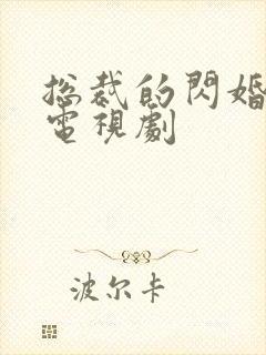 总裁的闪婚娇妻电视剧