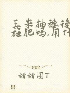 玉米抽穗后还能施肥吗,用什么肥料比较好?