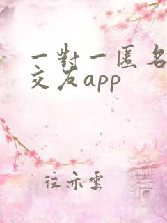 一对一匿名聊天交友app