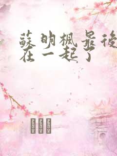 苏明枫最后和谁在一起了