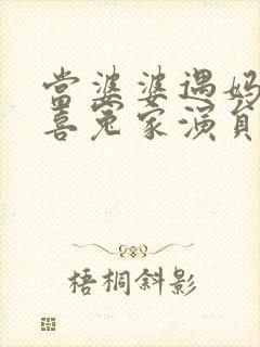 当婆婆遇妈之欢喜冤家演员介绍 当婆婆遇妈之欢喜冤家演员介绍