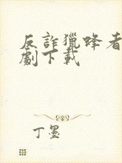 反诈猎蜂者电视剧下载