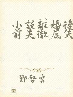小说离婚后豪门前夫彻底失了控好看么