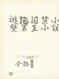 逃跑囚禁小少爷双男主小说推荐