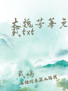 大魏芳华免费下载txt