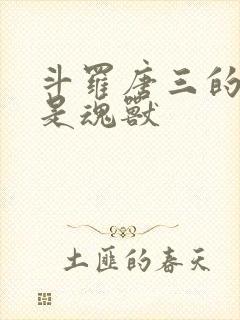 斗罗唐三的妹妹是魂兽