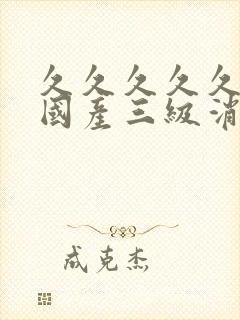 久久久久久精品国产三级消防员